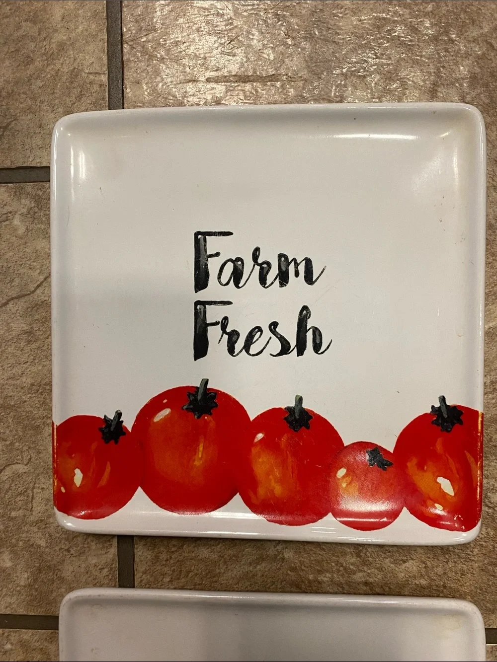 Farm Fresh Ceramic Serving /Sandwich Plates - White, Red & Orange
